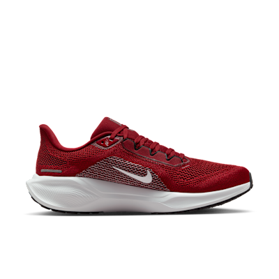Arizona Cardinals Pegasus 41