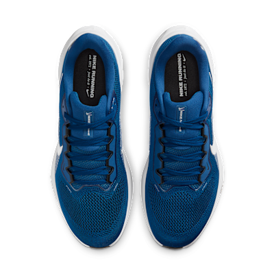 Indianapolis Colts Pegasus 41