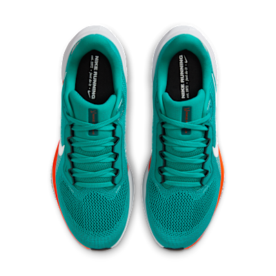 Miami Dolphins Pegasus 41