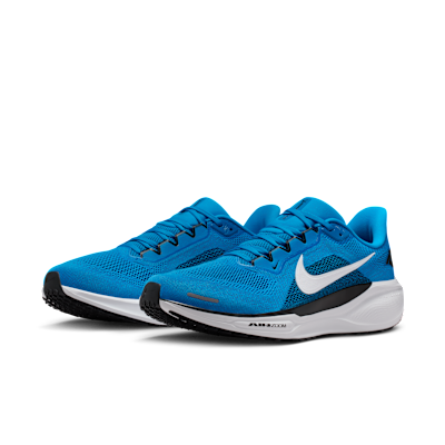 Carolina Panthers Pegasus 41