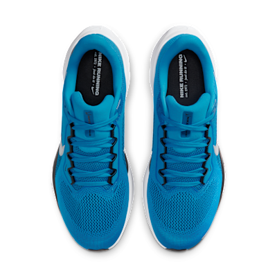 Carolina Panthers Pegasus 41