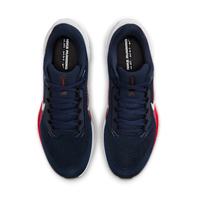 New England Patriots Pegasus 41