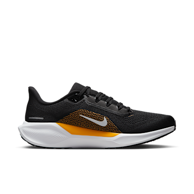 Pittsburgh Steelers Pegasus 41