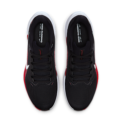Houston Texans Pegasus 41